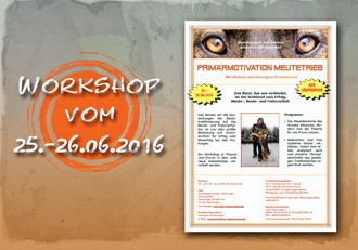 einladung workshop 2016-330px